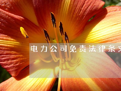 电力公司免责法律条文