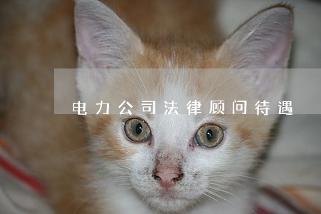 电力公司法律顾问待遇 电力公司法律顾问待遇