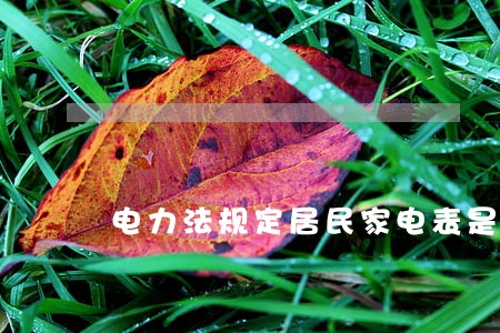 电力法规定居民家电表是多少安的 电力法规定居民家电表是多少安的