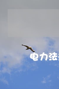 电力法规应与时俱进