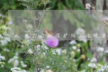 电力设施保护相关法规宣传册