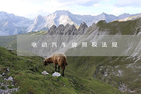 电动汽车牌照板法规 电动汽车牌照板法规