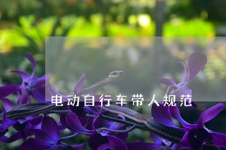 电动自行车带人规范
