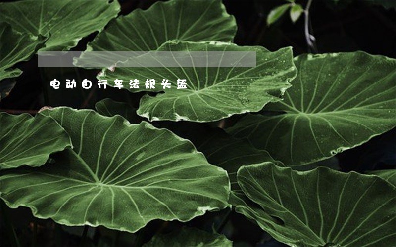 电动自行车法规头盔 电动自行车法规头盔