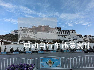 电动自行车违法案件 电动自行车违法案件