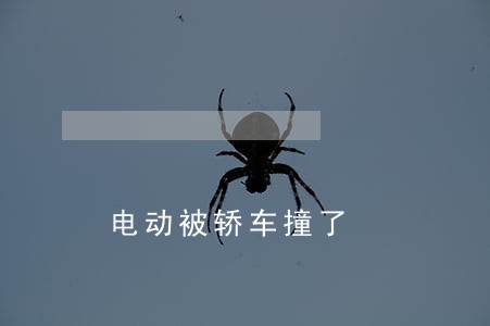 电动被轿车撞了
