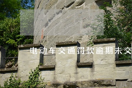 电动车交通罚款逾期未交