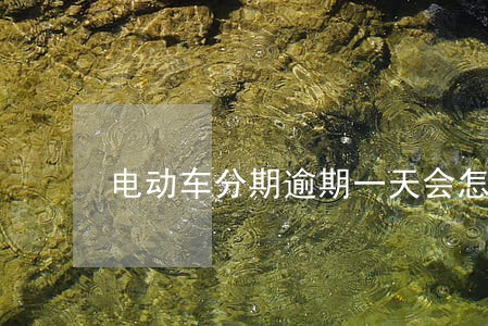 电动车分期逾期一天会怎么样 电动车分期逾期一天会怎么样