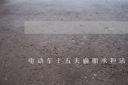 电动车十五天逾期承担法律责任 电动车十五天逾期承担法律责任