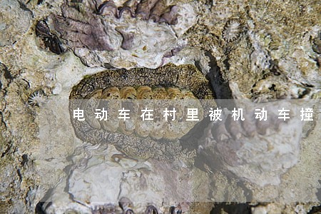电动车在村里被机动车撞了 电动车在村里被机动车撞了