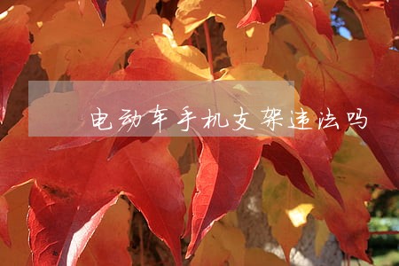电动车手机支架违法吗 电动车手机支架违法吗