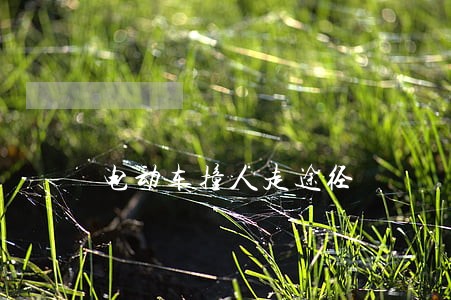 电动车撞人走途径