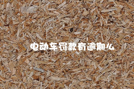 电动车罚款有逾期么 电动车罚款有逾期么