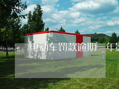 电动车罚款逾期一年影响征信吗 电动车罚款逾期一年影响征信吗