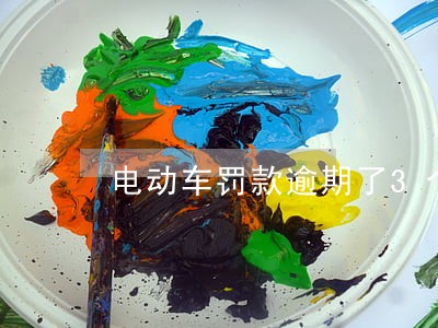 电动车罚款逾期了3个月 电动车罚款逾期了3个月