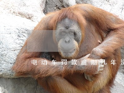 电动车罚款逾期几年没有缴 电动车罚款逾期几年没有缴