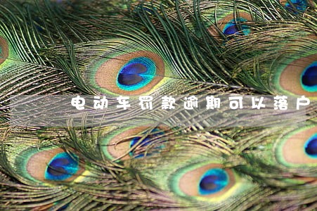 电动车罚款逾期可以落户吗 电动车罚款逾期可以落户吗