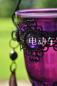 电动车罚款逾期后才交 电动车罚款逾期后才交