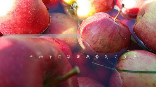 电动车罚款逾期最高罚多少 电动车罚款逾期最高罚多少