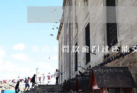 电动车罚款逾期过还能交吗 电动车罚款逾期过还能交吗