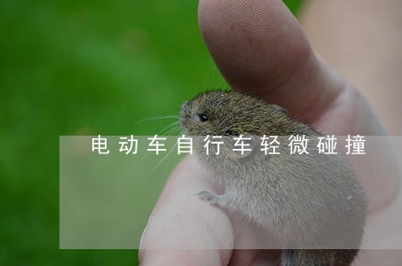 电动车自行车轻微碰撞 电动车自行车轻微碰撞