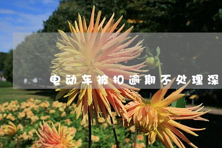 电动车被扣逾期不处理深圳石岩 电动车被扣逾期不处理深圳石岩