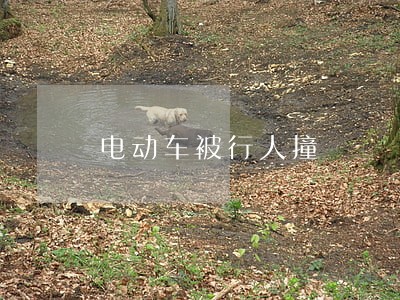 电动车被行人撞 电动车被行人撞