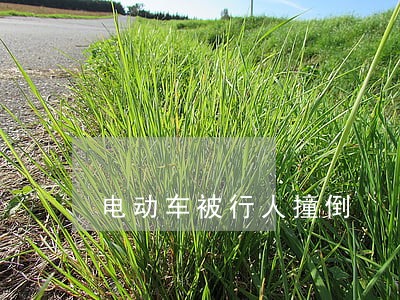 电动车被行人撞倒 电动车被行人撞倒
