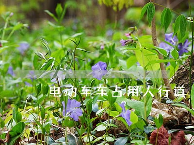 电动车车占用人行道 电动车车占用人行道