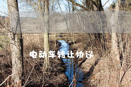电动车转让协议 电动车转让协议