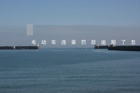 电动车违章罚款逾期了怎么交 电动车违章罚款逾期了怎么交