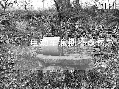 电动车逾期不改罚款 电动车逾期不改罚款