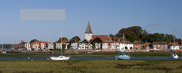 电动车逾期了滞纳金到哪里交