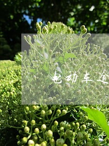 电动车逾期会上征信吗 电动车逾期会上征信吗