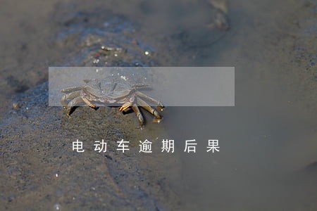 电动车逾期后果 电动车逾期后果