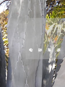 电动车逾期怎么查询 电动车逾期怎么查询