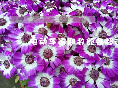 电动车逾期数额会超过罚款本身吗 电动车逾期数额会超过罚款本身吗