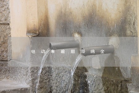 电动车逾期滞纳金 电动车逾期滞纳金