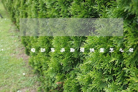 电动车逾期滞纳金怎么处罚 电动车逾期滞纳金怎么处罚
