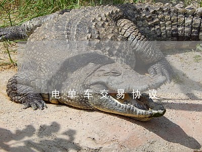 电单车交易协议 电单车交易协议