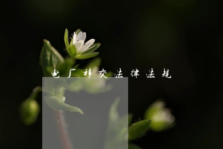 电厂移交法律法规 电厂移交法律法规