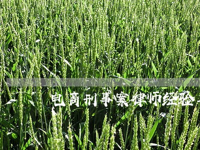 电商刑事案律师经验丰富 电商刑事案律师经验丰富