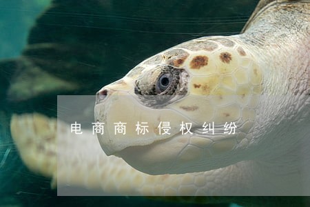 电商商标侵权纠纷