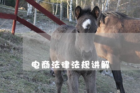 电商法律法规讲解 电商法律法规讲解
