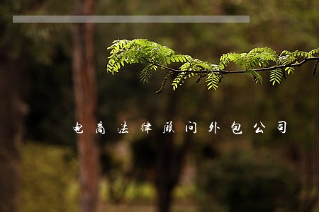 电商法律顾问外包公司 电商法律顾问外包公司