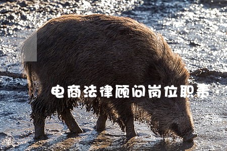 电商法律顾问岗位职责