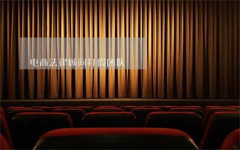 电商法律顾问打假团队