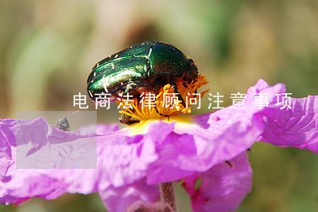 电商法律顾问注意事项 电商法律顾问注意事项