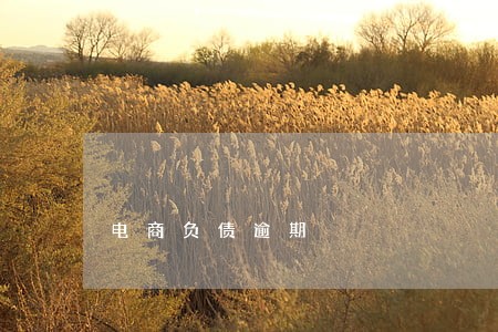电商负债逾期 电商负债逾期