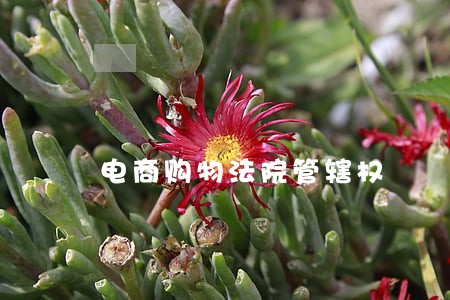 电商购物法院管辖权